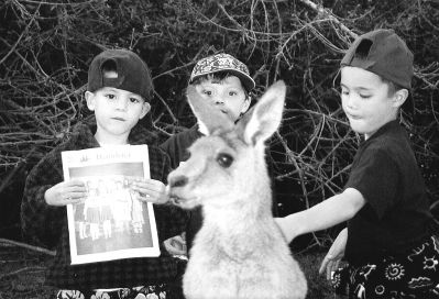 09-02-04
Marion residents Emil Assing, Theo Assing, and cousin Tosh Allan pose with a copy of The Wanderer as they feed a real-live kangaroo at the Currumbin Bird Sanctuary on the Gold Coast of Australia. The group recently traveled to the land down under to visit relatives. (Photo by and courtesy of Terry Allan). 9/2/04 edition
