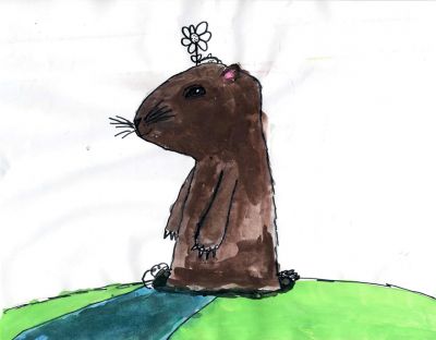 2019 Groundhog Cover Contest
2019 Groundhog Cover Contest entry by Paige Gomes
