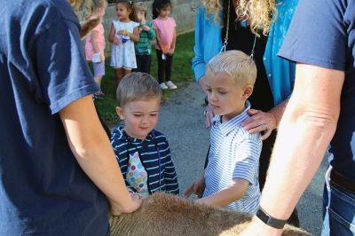 Good News
On October 14, Jeff and Lauren Paine of Pine Meadow Farms in Mattapoisett brought Alpacas “Good News,” a two-year-old male, and “Patience,” a 10-year-old female, to the Loft School in Marion, where Debbi Dyson's Pre-K class has been learning about Peru and the country’s alpacas and llamas. Pine Meadow will host an Open House on October 30. Photos by Mick Colageo
