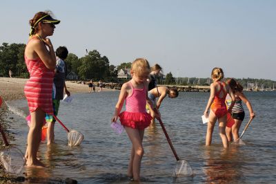 Seining the Shore
The Buzzards Bay Coalition hosted a “Seining the Shore” activity with a couple dozen kids at Silvershell beach on Friday, July 22. The kids practiced tossing the seine net to capture small sea creatures and explore what was caught. Photos by Jean Perry
