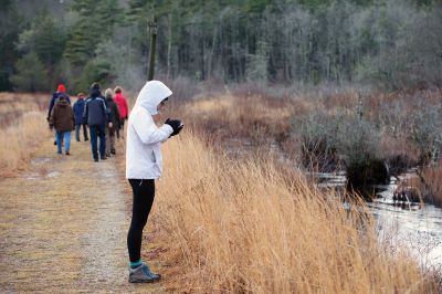 The Bogs in Mattapoisett 
The Buzzards Bay Coalition on Saturday, January 16 led a group through The Bogs in Mattapoisett for a winter hike. Walkers donned raingear just in case the rain wasn’t quite over yet. Photos by Colin Veitch
