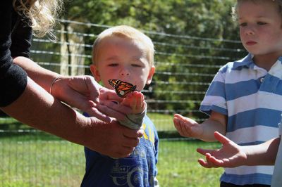 Butterfly Release
Debbie Thompson of Marion raised monarch butterflies from caterpillar to chrysalis with her preschool students and finally released them on September 26. This is the second year Thompson raised butterflies, tagged them, and released them into the wild with her students. “For the kids it’s such a magical thing,” said Thompson. The bright blue sky made a spectacular backdrop for the butterflies’ bright wings as they flew away. Photos by Jean Perry
