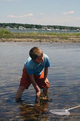 Shining Tides in Mattapoisett
Children explored the shore with Cassie Lawson and Becca Stroud from the Buzzards Bay Coalition on July 31 at Shining Tides in Mattapoisett, enjoying a scavenger hunt along with the exploration of sea animal habitats. Photos by Jean Perry
