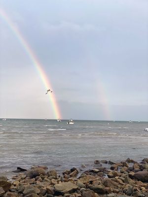 Rainbow
Photo by Ellen Scholter-Walker
