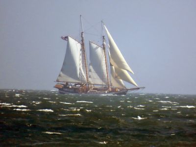 Under Sail
Faith Ball shared this picture of a beautiful ship under sail and heading into the harbor on the very windy Sunday afternoon.
