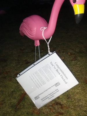 Flamingos Around Town
Have you been driving around the Tri-Town noticing a greater prevalence of lawn flamingos?  Don't be alarmed!  The plastic lawn ornaments are the Old Rochester Regional High School Cheerleaders' latest and most creative fundraiser.  For $25, residents can have a friend's house decorated, or "flocked" with lawn flamingos.  All money collected through the flocking will be used to send the squad to Walt Disney World in February.  Photos courtesy of Dawn Underhill. 

