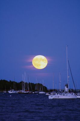Full Harvest Moon
Friday night was the full Harvest Moon, which, seen here, rose at just about 7:00 pm over Mattapoisett Harbor. The Harvest Moon is the full moon occurring closest to the Autumnal Equinox, which is this Thursday. Photo by Jean Perry
