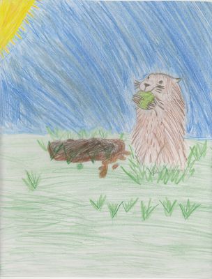 2013 Groundhog Cover Contest Entry
2013 Groundhog Cover Contest Entry by Emily Larkin
