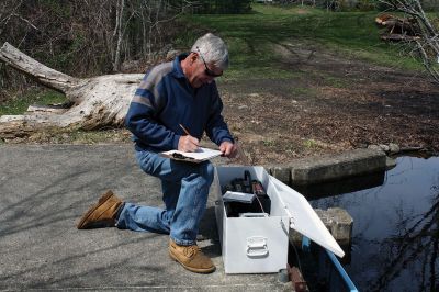 Herring Run
Herring Inspector Davis Watling Jr. marks how many herring have returned to Snipatuit Pond via the Mattapoisett River on Monday, April 24. (Right) This is the final hurdle the herring must make before returning home to spawn the next generation of alewives. Photos by Jean Perry

