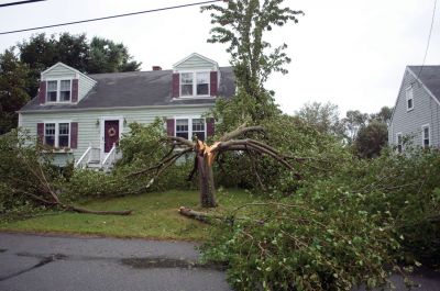 Hurricane Irene
This was just one of many Mattapoisett trees that were destroyed by Tropical Storm Irene on August 28, 2011. Photo by Felix Perez.
