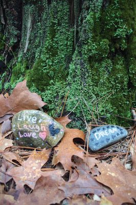 Kindness Rocks
Inspired by The Kindness Rocks Project, the Junior Friends of the Plumb Library have hidden brightly decorated stones along the paths at Church Wildlife Conservation Area in Rochester to serve as small messages of kindness to the passerby. Photos by Jean Perry
