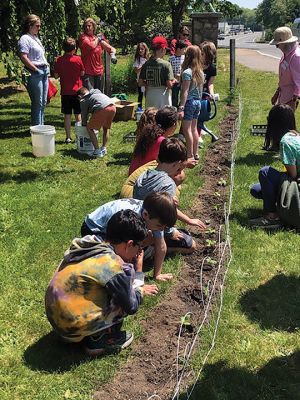 Dunseith Gardens 
At the invitation of the Mattapoisett Land Trust, second graders from Center School enjoyed planting sunflowers at Dunseith Gardens on Tuesday morning. Photo courtesy of MLT
