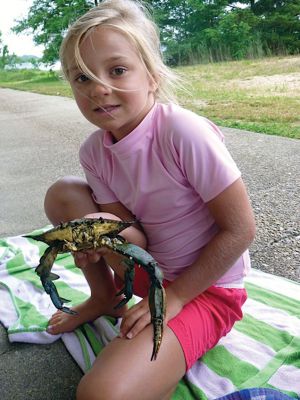 Life Along the Shore 
The Marion Natural History Museum’s Life Along the Shore program enjoyed learning a little something about the crabs that inhabit the Marion shoreline during the July 2013 session. Photos courtesy of Elizabeth Leidhold
