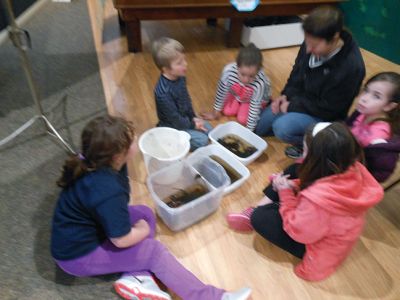 Marion Natural History Museum
Looking at Salamander eggs, playing with tadpoles, and working on a project to take home. The Marion Natural History Museum’s afterschool program had fun exploring signs of spring during our most recent after-school program. Photos courtesy Elizabeth Leidhold
