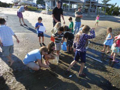 Marion Natural History Museum
The Marion Natural History Museum’s after-school group enjoyed a beautiful end-of-summer day Wednesday September 19 at the Marion Harbormaster’s beach.  One of the highlights was they we were able to take a close look at the largest Pipefish we’d ever seen.  The museum’s next after-school program is a rocket program given by board member Mike Cronin on October 10th.  Photo courtesy Elizabeth Leidhold

