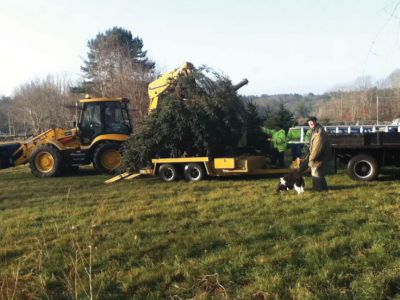 Tree Time
The 2012 Mattapoisett Town Christmas tree gets loaded on the Highway Dept. truck in Howard Tinkham’s field. Next stop: the wharf to get beautified. Photo courtesy Gail Roberts
