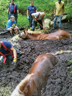 Muddy Rescue
Marion firefighters rescued Girlie the mule and Tick the horse on Sunday night at Merrow Farm on Converse Road. The two animals were buried neck-deep in mud. Plymouth County Tech Rescue, Plymouth County Large Animal Rescue Team, Mattapoisett Fire Rescue, ACO Connor, and Washburn Stables all assisted. Photos courtesy Marion Fire Department
