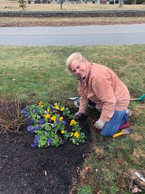 Marion Garden Group
Four times a year members of the Marion Garden Group gather to plant over 15 window box, planters and urns throughout Marion Village. Each year Spring is welcomed with a profusion of colorful pansies. This year members decided to dedicate their efforts toward indicating our support for Ukraine. “Pansies lend themselves easily to this sort of tribute” Suzy Taylor, Garden Group Vice President said. “We partnered with Eden’s to find the best shade to represent the blue.” 
