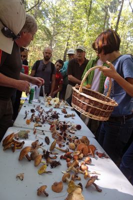 Mushroom Walk
The Sippican Lands Trust and the Boston Mycological Club took a large group out on Sunday for a mushroom walk at the White Eagle Property in Marion. Participants gathered hundreds of mushrooms and laid them out on a long table for mushroom experts Ken Fienberg and Chris Neefus to help identify. Photos by Jean Perry
