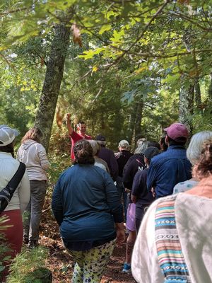 Woodland Walk for Mushrooms
Marion Natural History Museum hosted mycologist Adam Korejwa on September 13. Korejwa conducted a Woodland Walk for Mushrooms event at Shoolman Preserve in Rochester. Bolete, russula, honey, ghost pipe, and cauliflower mushrooms were all spotted, along with countless others. Whether it be on the ground, on a waterlogged fallen tree, or up the side of a living host-tree, mushrooms seemed to be all about. Roughly 40 people showed, including members of mycological societies, amateur enthusiasts, Rhode Islander
