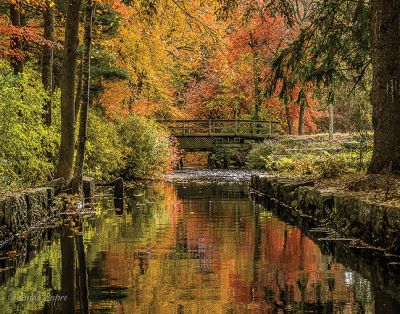 Photo Contest
Linda Lapre took this photo of the Bates Road Bridge in Autumn to win first place in the photo contest sponsored by the Rochester Historical Society and the Rochester Land Trust - October 1, 2020 edition
