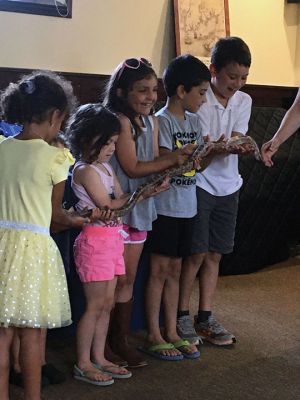 Reptiles
Joy Marzolf brought her traveling troop of reptiles to the Mattapoisett Free Library on July 27. Children learned that some reptiles are threatened by plastic pollution and what they could do to help them. Opportunities included touching a crocodile, holding a snake and cuddling a lizard. Photos by Marilou Newell
