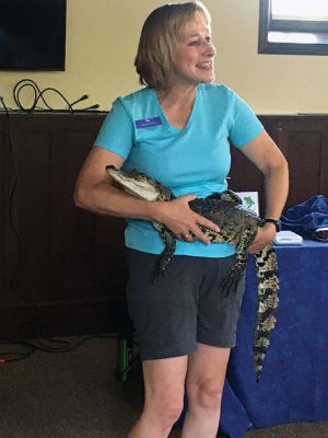Reptiles
Joy Marzolf brought her traveling troop of reptiles to the Mattapoisett Free Library on July 27. Children learned that some reptiles are threatened by plastic pollution and what they could do to help them. Opportunities included touching a crocodile, holding a snake and cuddling a lizard. Photos by Marilou Newell
