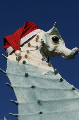 Salty's Holiday Hat
Salty the Seahorse is enjoying a new look for the holiday season. The Mattapoisett Land Trust fitted the town's mascot with a santa hat on December 10, 2009. Salty lives at Dunseigh Gardens, one of many properties that the Mattapoisett Land Trust preserves for the town. Photo by Anne O'Brien-Kakley.
