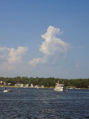 Salty the Seahorse in the clouds
While boating, Lauren Caulkins of Rochester spotted Salty the Seahorse in the clouds.
