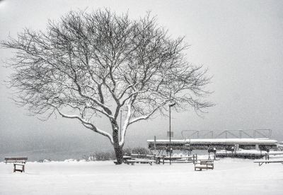  Shipyard Park
Michele Couto took this photo of the gazebo in Shipyard Park on Saturday afternoon during the snowstorm, which brought over a foot of snow to the area.
