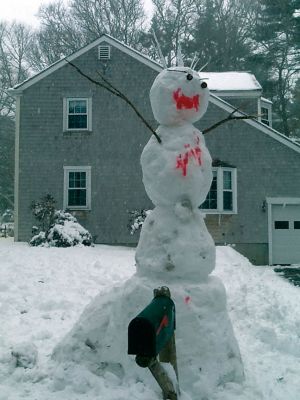 Snowman
Another snowman guardian, this on spotted on Wildwood Terrace. Photo by Bette-Jean Rocha
