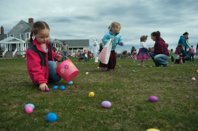 Easter Egg Hunt
Easter egg seekers hunt for goodies at the Shining Tides Easter Egg Hunt held at the Mattapoisett YMCA on Saturday, March 24. Photo by Felix Perez - April 5, 2012 edition
