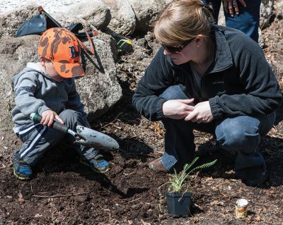 SLT Arbor Day
Children and parents came together Saturday, April 27th to help the Sippican Lands Trust (SLT) and The Trustees of Reservations (TTOR) plant Atlantic White Cedar saplings in an initiative to re-introduce this rare, native species back onto SLT and Town properties.  
