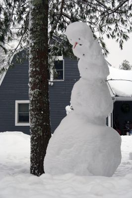 Big Snow
This snowperson on Crystal Springs Road in Mattapoisett looked sad Tuesday morning now that the three kids who built it have returned to school after yet another snow day for Tri-Town students. Built by Charlie, Sadie, and Dylan H-M. Photo by Jean Perry

