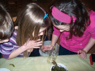 Vernal Pools
Morgan Meidema and Molly Kracke examine some frog egg masses at a recent vernal pool afterschool program with the Marion Natural History Museum. Photo courtesy of Elizabeth Leidhold.
