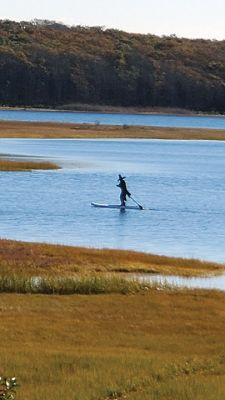 Paddleboard Witch
Dan Winsor spotted this witch who ditched her broom for a paddle and stand-up paddle board in Brandt Island Cove on Halloween morning. It did not matter that it was 39 degrees and the wind chill was 29.
