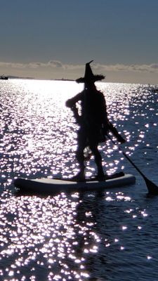 Paddleboard Witch
Dan Winsor spotted this witch who ditched her broom for a paddle and stand-up paddle board in Brandt Island Cove on Halloween morning. It did not matter that it was 39 degrees and the wind chill was 29.
