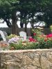 Garden_3223.jpg