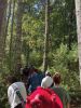 Filename=Mushroom_7463.jpg
Filesize=189KiB
Dimensions=540x720
Date added=Sep 17, 2025 Mushroom_7463.jpg