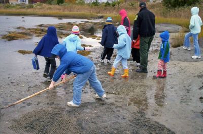 Raking In The Clams!
The Marion Natural History Museum recently sponsored a Soft-shell Clam Relay where student participants sucessfully planted 50,000 clams off Silvershell Beach in Marion. The group was assisted by Marion Shellfish Warden Issac Perry. (Photos by and courtesy of Elizabeth Leidhold, Marion Natural History Museum).
