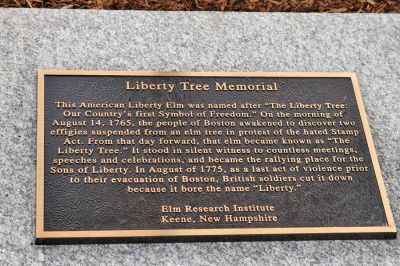 Seeds of Liberty
This plaque sits at the foot of the newly-planted Liberty Elm tree on the front lawn of the Plumb Memorial Library in Rochester which was dedicated on August 14, 2008. (Photo by Kenneth J. Souza).
