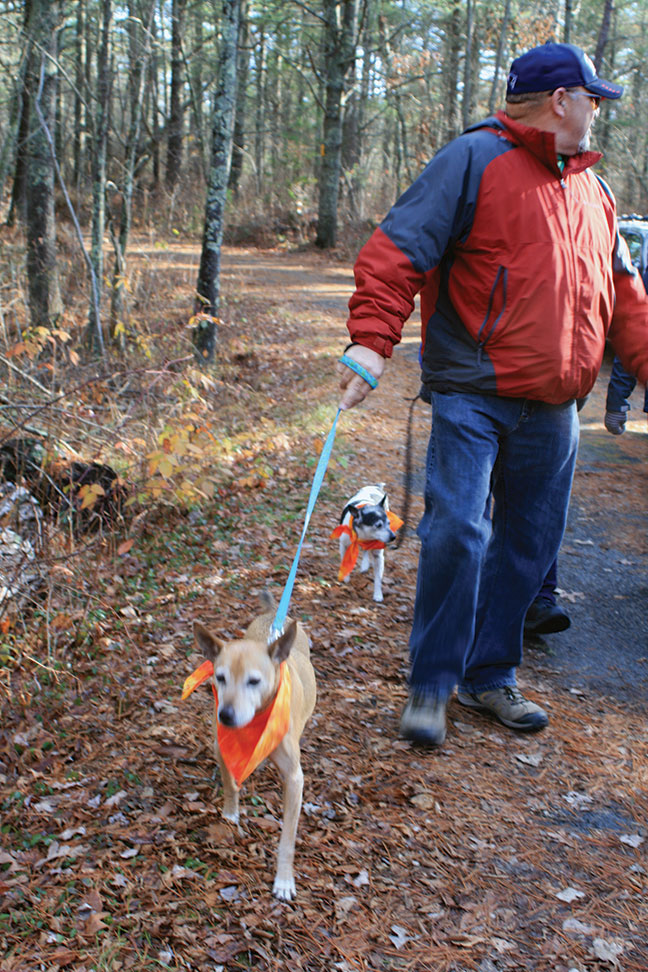 HotToTrot Dog Walk