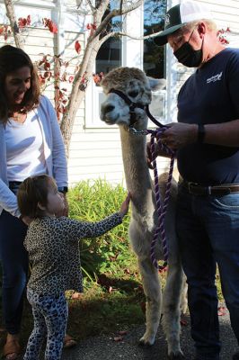 Good News
On October 14, Jeff and Lauren Paine of Pine Meadow Farms in Mattapoisett brought Alpacas “Good News,” a two-year-old male, and “Patience,” a 10-year-old female, to the Loft School in Marion, where Debbi Dyson's Pre-K class has been learning about Peru and the country’s alpacas and llamas. Pine Meadow will host an Open House on October 30. Photos by Mick Colageo
