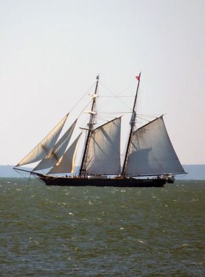 Shenandoah
The beautiful Shanandoah leaving the harbor Friday afternoon. Photo courtesy Faith Ball
