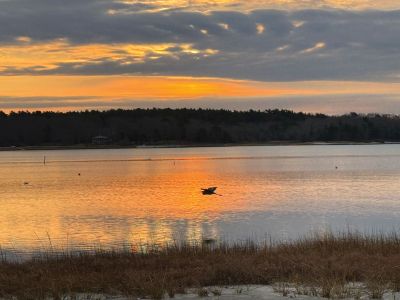 Blue Heron
Sunrise with a blue heron taken by Jennifer Shepley.
