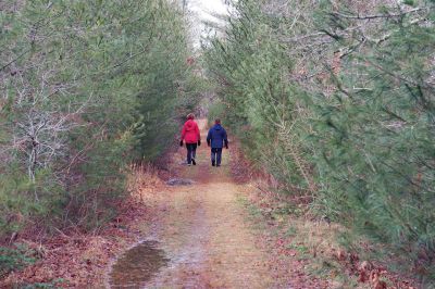 The Bogs in Mattapoisett 
The Buzzards Bay Coalition on Saturday, January 16 led a group through The Bogs in Mattapoisett for a winter hike. Walkers donned raingear just in case the rain wasn’t quite over yet. Photos by Colin Veitch
