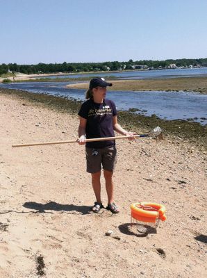 Quahogging
Some locals learned the basics of quahogging on Saturday, August 9, as part of the Buzzards Bay Coalition’s Bay Adventure series. Participants gathered at Mattapoisett Beach at Camp Massasoit and, led by BBC Outdoor Educator Meghan Gahm, received a little Quahogging 101. Photo By Renae Reints
