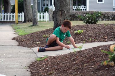 Chalk It Up
The day before the Marion Town Party, kids chalked-up the sidewalks in front of the Marion Town House in preparation for the Saturday night event. Town Party Planning Committee members set up picnic tables and strung party lights in the background while the kids drew colorful, festive pictures with chalk. Photos by Jean Perry
