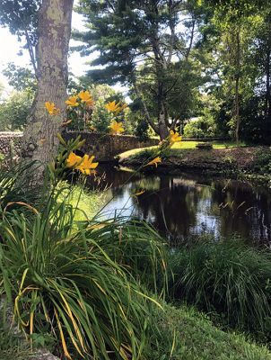 River Road
Lois Cosgrove captured the ethereal beauty of late summer in Mattapoisett where the old River Road stone arch bridge crosses the Mattapoisett River.
