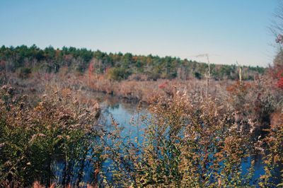 Cranberry Outing
Perfect weather brought out the young and the young at heart to the second annual cranberry harvest at “The Bogs” on Acushnet Road in Mattapoisett, a Buzzards Bay Coalition property. The retired bog acreage is slowly returning to meadows and woodlands. But for now cranberries continue to grow giving the do-it-yourself harvester a chance to enjoy nature’s bounty. Photos by Marilou Newell
